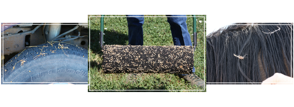 Effective Burr Remover: THE STICKER PICKER®